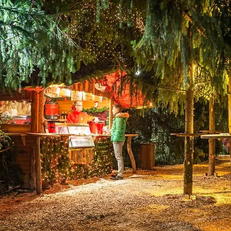 塔奈酒店 戈斯拉尔