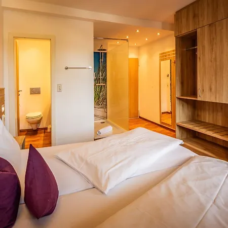 塔奈酒店 3* 戈斯拉尔