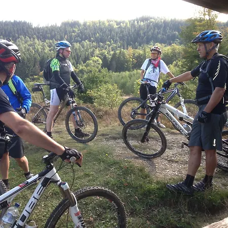 塔奈酒店 戈斯拉尔