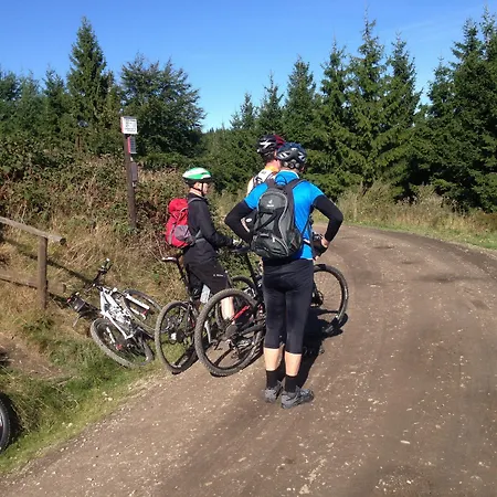 塔奈酒店 酒店 戈斯拉尔