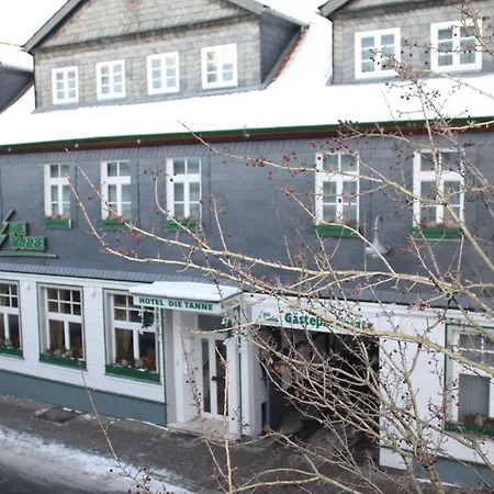 Tanne Otel 3*