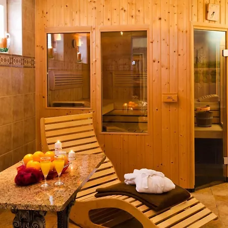 酒店 塔奈酒店 戈斯拉尔