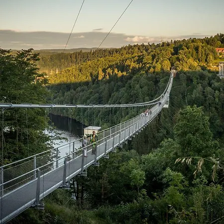 塔奈酒店 3* 戈斯拉尔