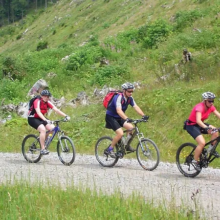 塔奈酒店 戈斯拉尔